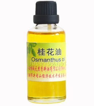 供應桂花精油 天然植物精油 單方精油 化妝品原料批發(fā)